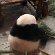 李健-cbb87bee