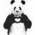 Small 1a96aac2624b6a7ad202d22ff2ba66f2
