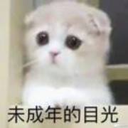 786151bf4cd978c055de7917e7d37e8f
