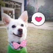 Db4bd8729dd23bca782ca18dd0335c97