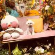 050237b09028589565d3679e3be923e2