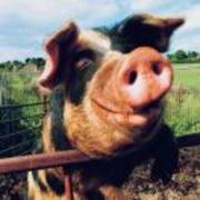 F548dbe86b51b7f550b886b00308e47b