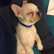 6e2021126bc7fe623df6da342d3e2484