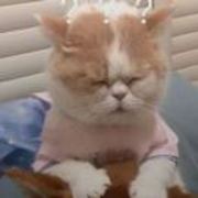 9608eb09c5383eeebc86594851193e13