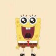 798e8f66ae7508695aaca5a3a958bead