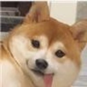 C212c35627b3080914ce388eeb28fe53