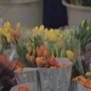 248b2993d2dea91440c223a8a293a915