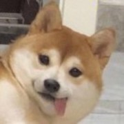 7b3234543f2e7f6bccc9e2788dd36390