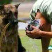 A92fee74b8867e317473b94f0613832b