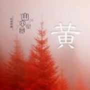 5b5aca5ba3dac2f130965f5f28d1f291