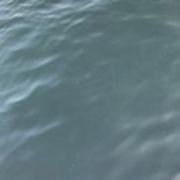 14ef2896927103b087a9cb12efbe6eb6