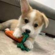 9242dc8a6334ff5edeb213fad3b301ba