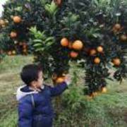 C023830533c98c1d759126b2de5213b8