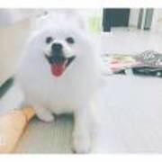 780df048d87e8348b8de7990353e5f56