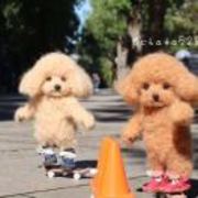 Cd574cf6ebc61d7ad12d2e07fb95fe90