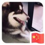 94e544ae181f3cd31a79136c0d158787