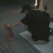 397e720703a5164911af2ee4cc61366d