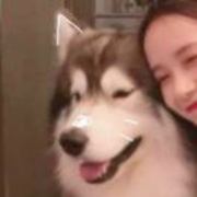 D602c52218e9b914ec54fa041ee5746b