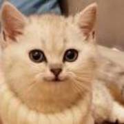 3607c01c1a7f95c8e9f9364554316c65