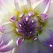 4ae205b936ba1fbcf8c1a4ea4bc21cbf