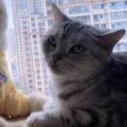 B2b7260e3a066cbf4daa9d50d3f85b0c