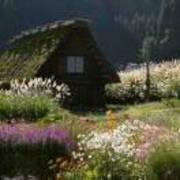 Dff741044cffd61e80ac970ef24e866b