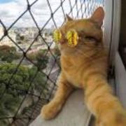 9f220663fbd394ceb0b040b04275f80f