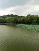 7f47bebf3de797d0d2c5d160c9b00169