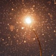 20fe4be055fc40fd8c0e5968bc3887ff