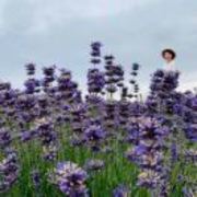 5cfe56f2489caa74e808b5d0dedc7e7a