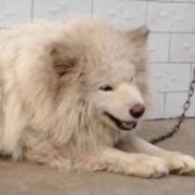 55d9226bd88174e32f8f614c7bf64cbe