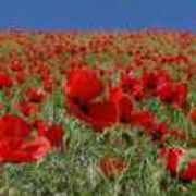 3e65b211e12cb5c9c2e72d5250ace18b