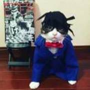 464bf132b499847e4170fc1204833d83