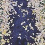 4e75a72b8fe5f86d2f1483fe570e59f8