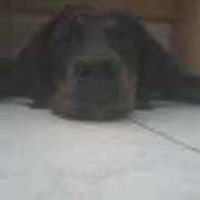 5186e42c18e9cbf8583c57ce8d52ab28