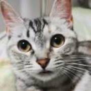 Ddb330c94fc6431c9c66ee313dd29bfd