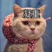 Fcab7775a7d8295c41500f5e6d2653a9