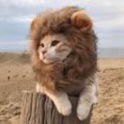 C1434e282651ac748a723cb92d16070f