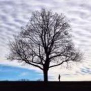 6ad99a3dff858ec9fc854e25aa8a5864