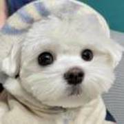 Cd8e288506676b31f5bf92c37693b6a2