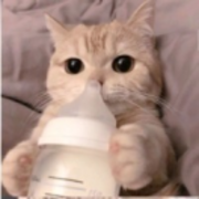 E28dc5cd35d2bd9969a7aeb5ce83d4c8