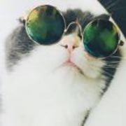 4d893dadc4d7801c9b3c7012b0b08c10