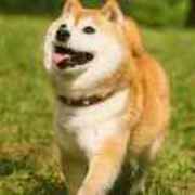 034475aba490b8aa0bffcd893d78de1a