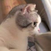 17b110249bccf77cb624ea9275e90c44