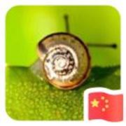 803e896ca71ef63e12b23863fa5e5b59