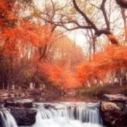 6a53d15b07c49338c3ebe0842a7af663