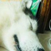 6d36ce9e34e6fd71033f433570674fe3