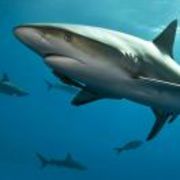 3add4fb043ab19cb23b24fdc3770d188