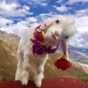 F6add02dbcd707f947982c450948d0af