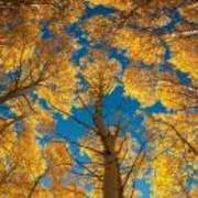 0aacc349722d76152f075adf3d602adf